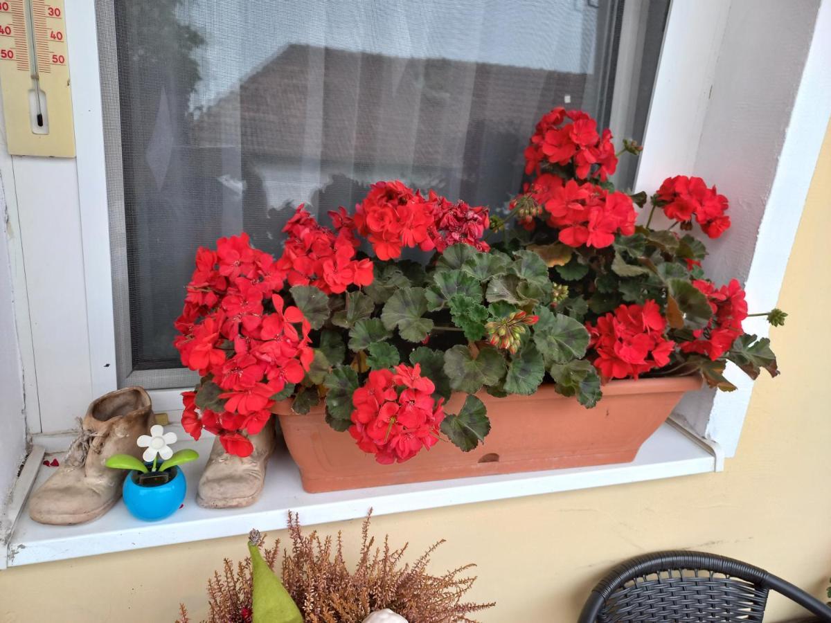 Oázis Apartman Sárospatak Esterno foto